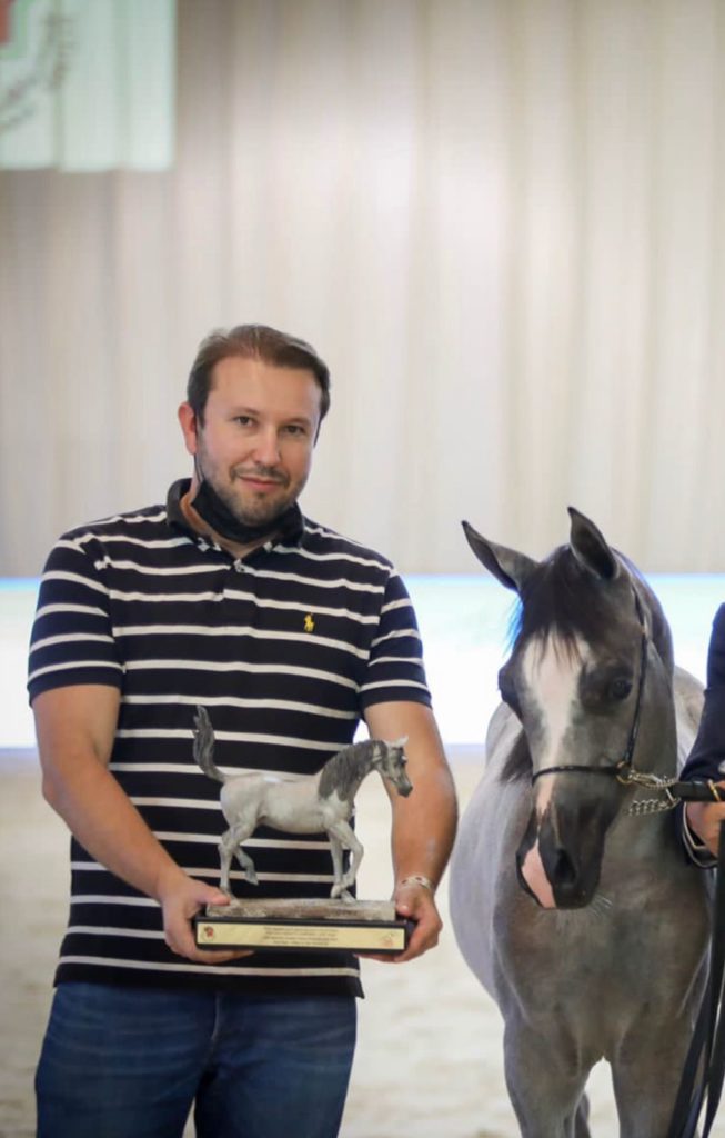 Potra de criador brasileiro do Cavalo Árabe se destaca em provas nos Emirados Árabes Unidos
