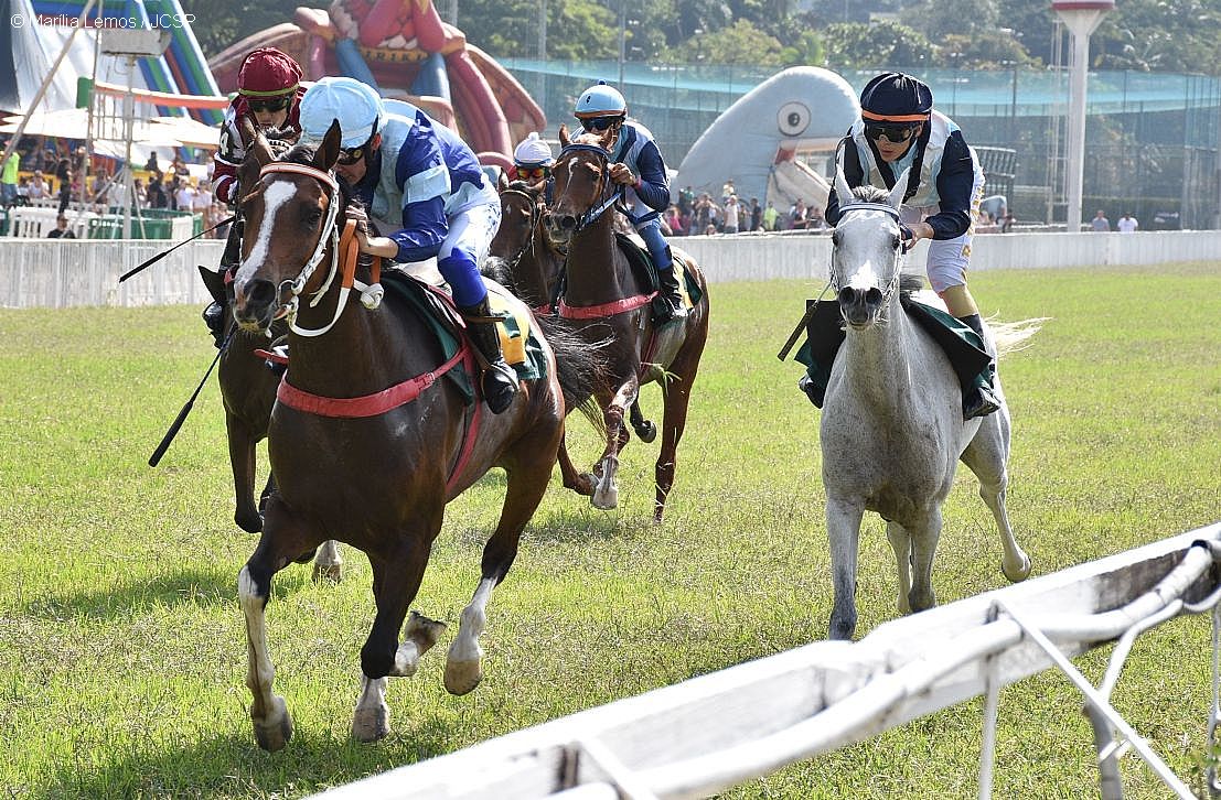 Cavalo Árabe brilha durante o principal evento do turfe paulista