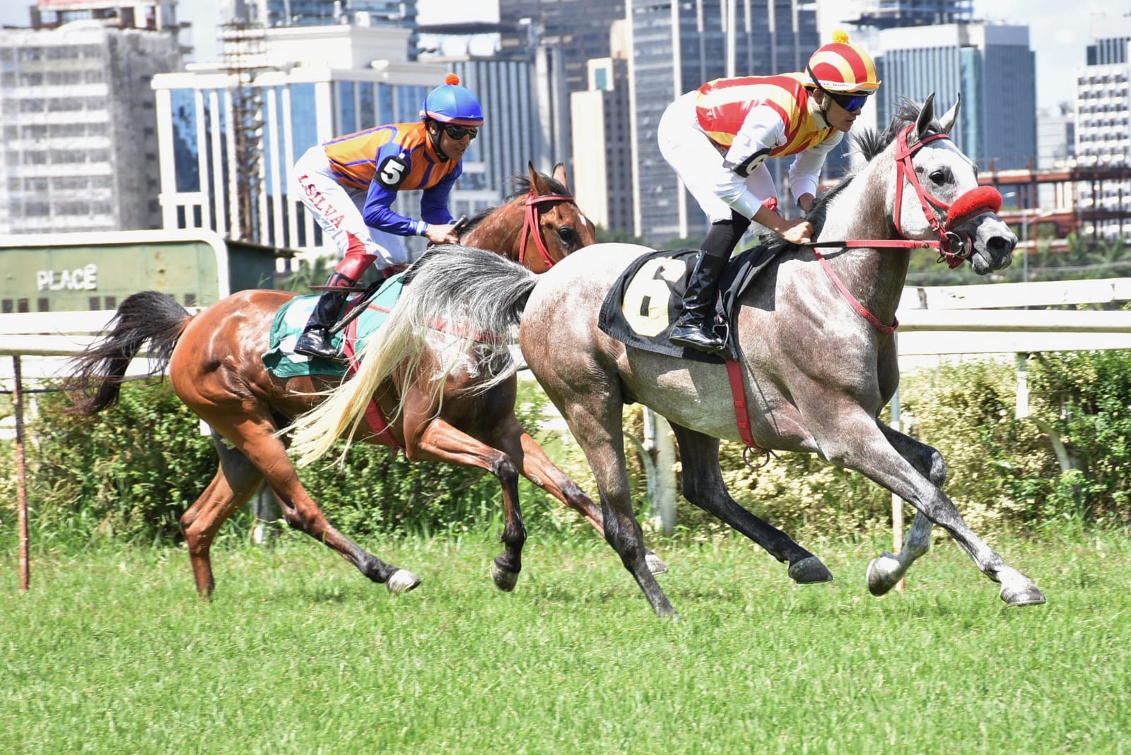 Preços baixos em Jogos de videogame de Corrida de Cavalos 2018 Ano de  Lançamento