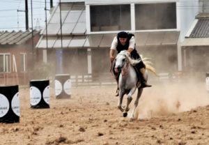 Prova cavalo Árabe Expointer 2023