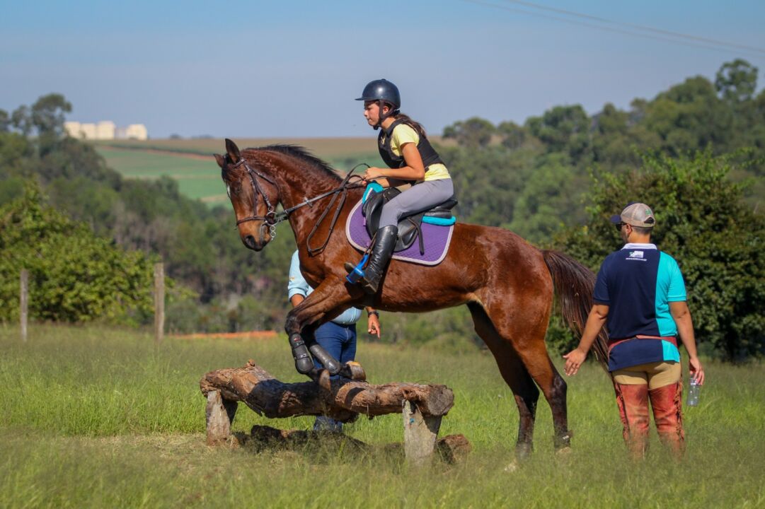 Clínica de Hipismo Rural destaca as habilidades do Cavalo Árabe para a prática do esporte