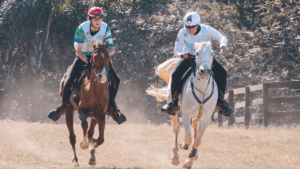 32º Campeonato Brasileiro de Enduro Equestre impressiona pela organização e alto nível de competitividade
