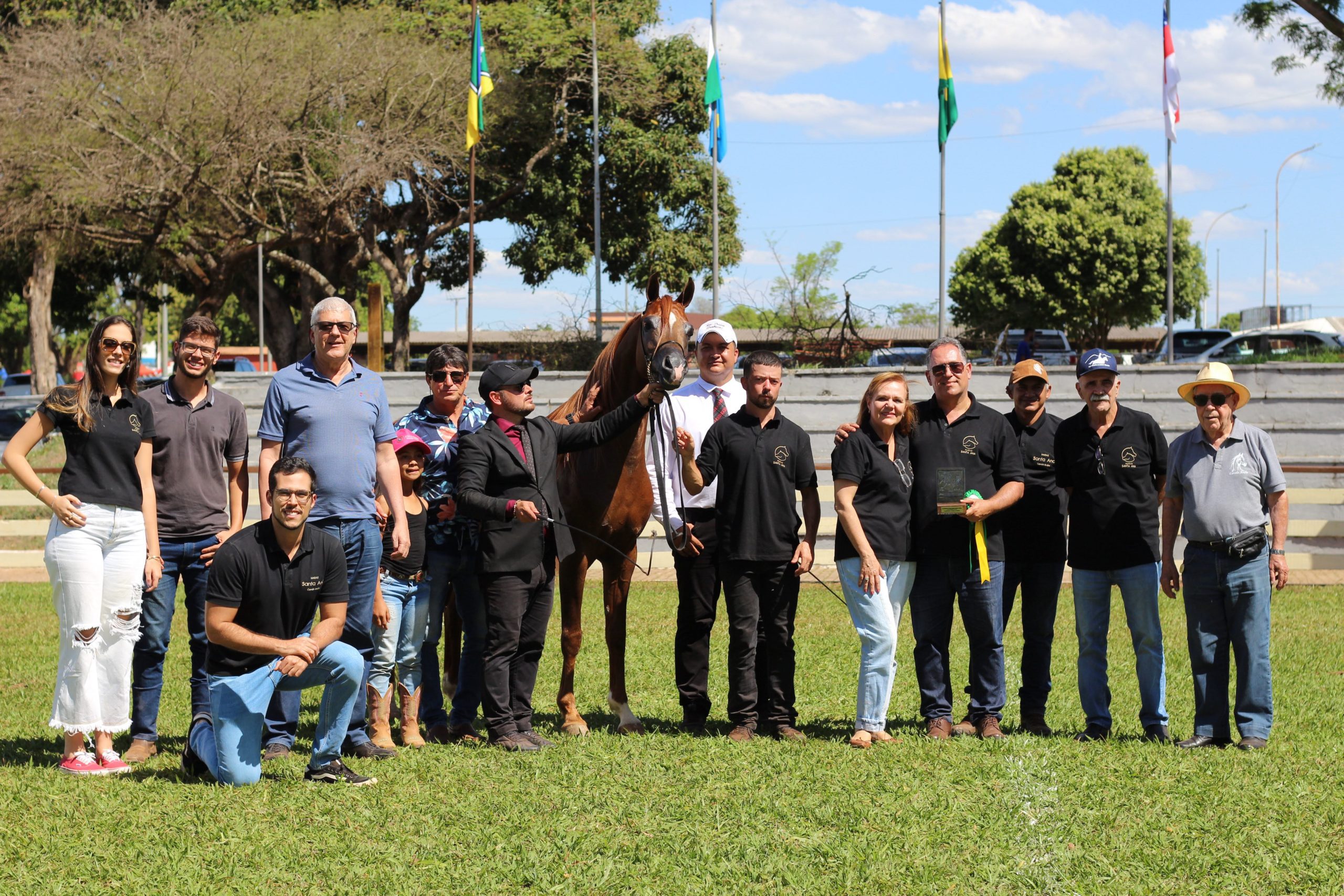 Campeão Cavalo Ouro Exposição de Brasília do Cavalo Árabe