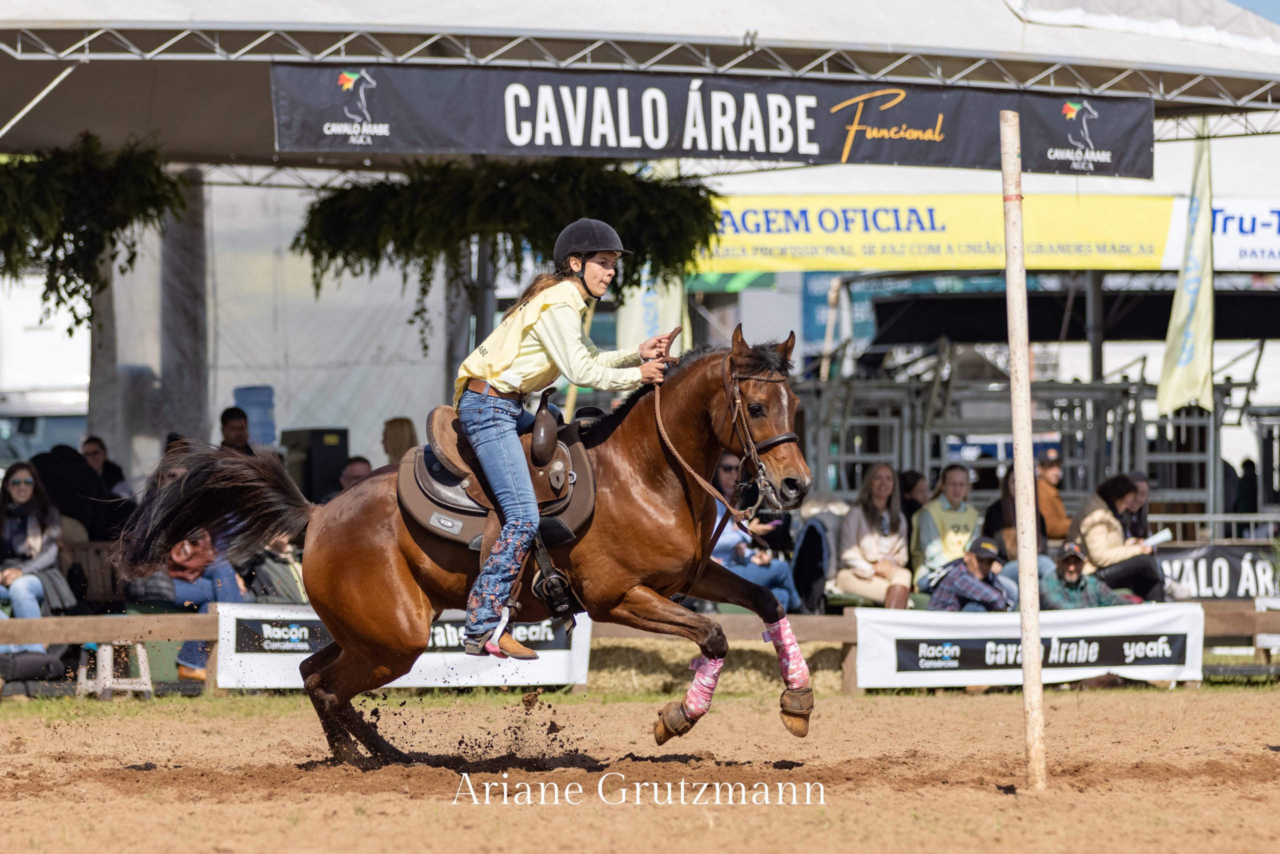 Campeonato Domados do Pampa 2023 - Antônia Medeiros - Cavalo Árabe Expointer 2023