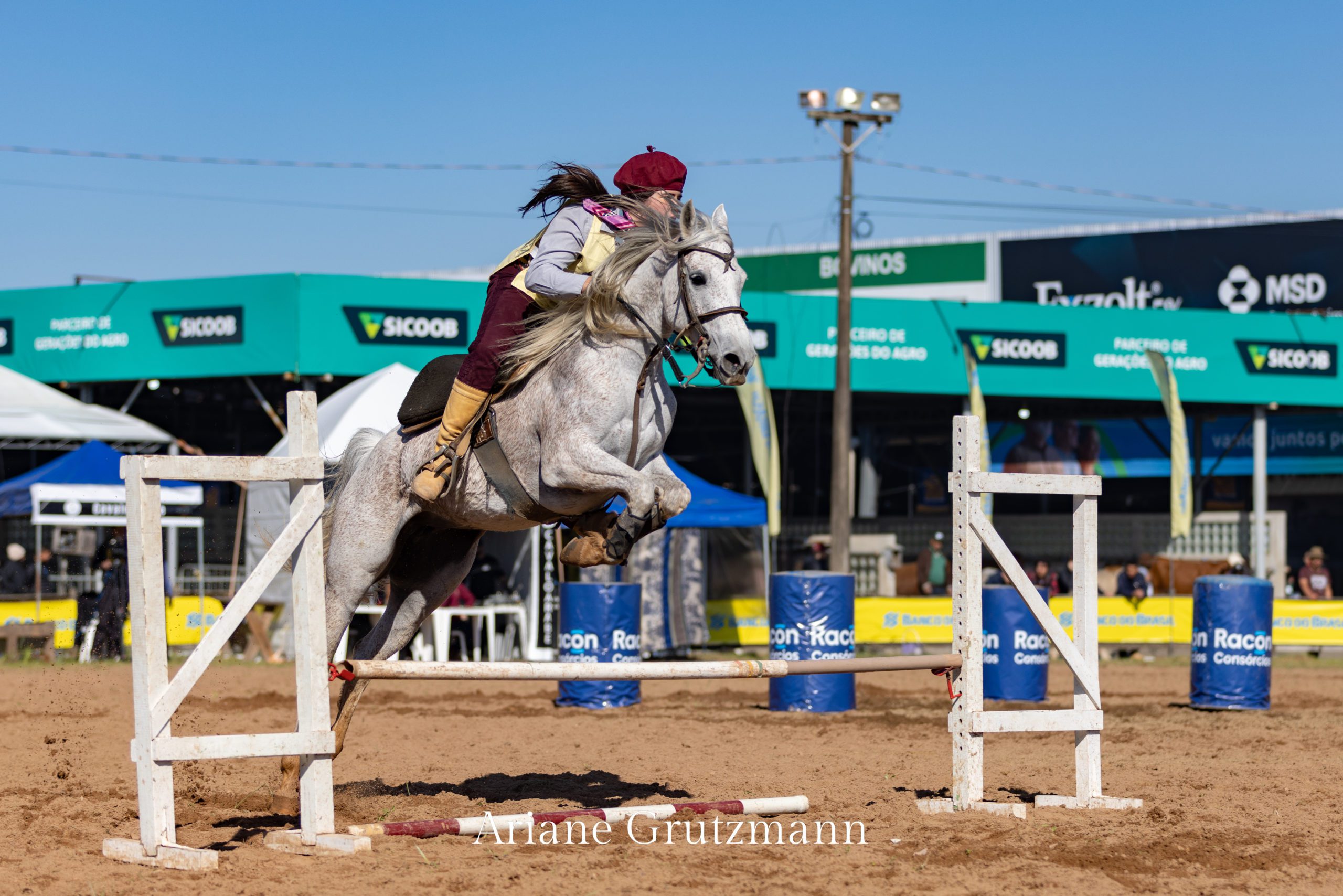 Campeonato Domados do Pampa 2023 - Laura Camargo - Cavalo Árabe Expointer