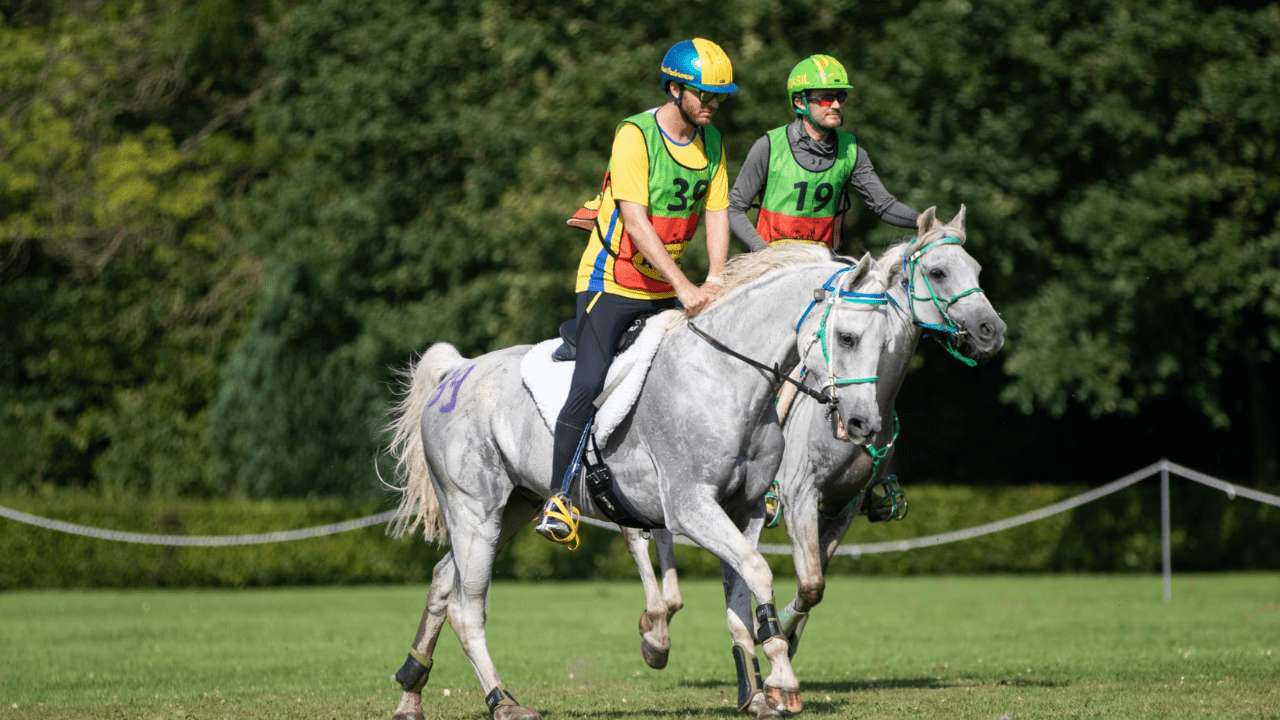 Cavaleiros brasileiros ficam no Top 3 na CEI3 160 Km da FEI Ermelo