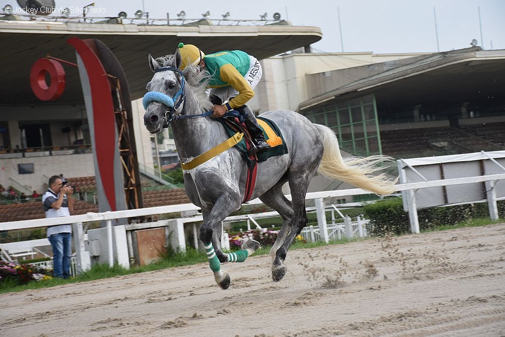 Cavalo Árabe estabelece novo recorde nos 1.500 metros da pista de areia do Jockey Club de São Paulo