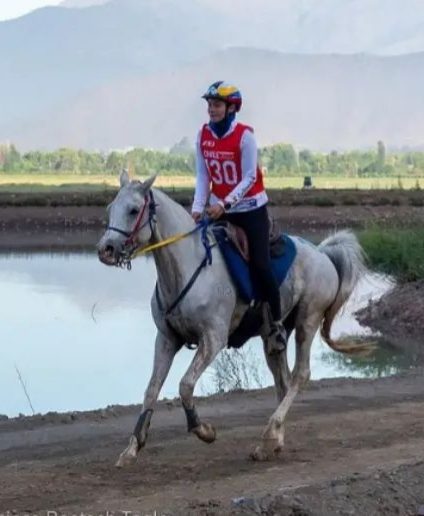 Cavalo da criação nacional da raça Anglo-Árabe se destaca no Campeonato Panamericano de Enduro no Chile