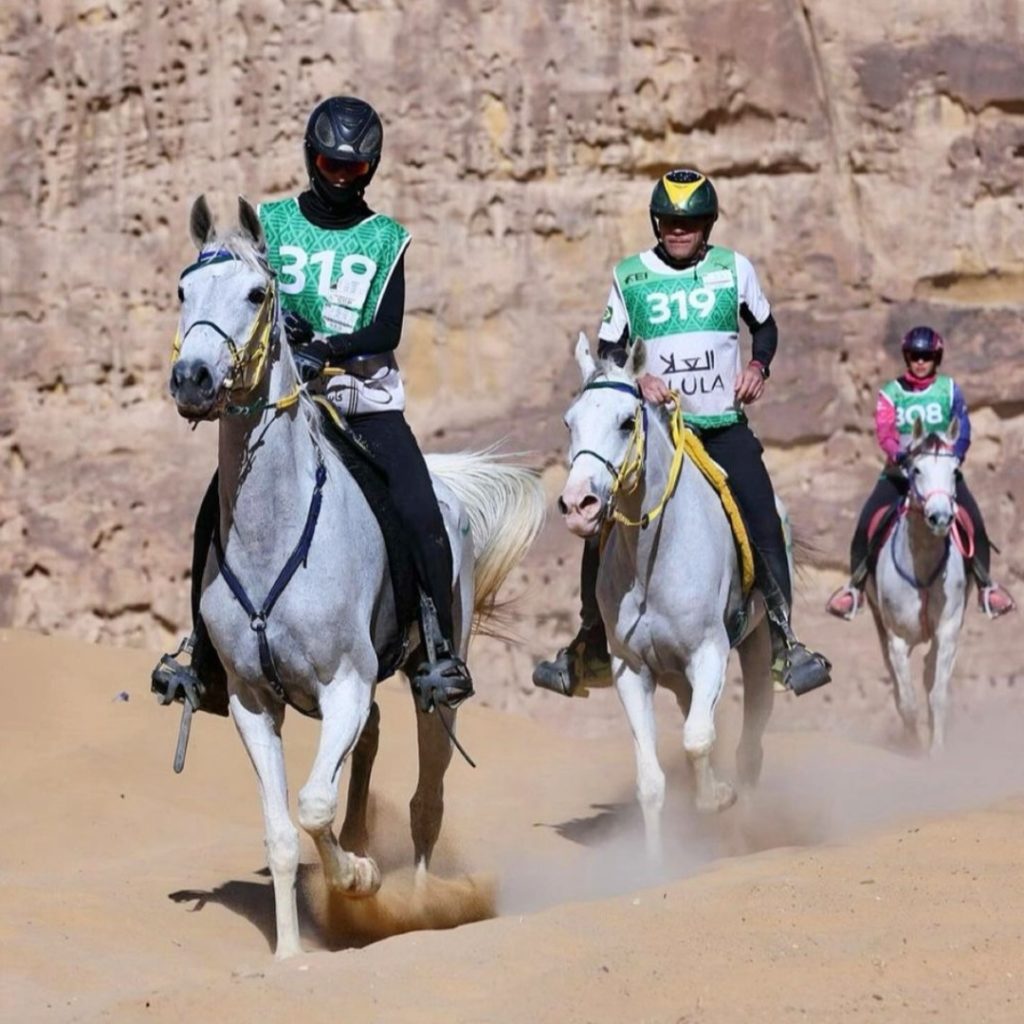 Brasil fica no top 10 do Enduro Equestre na Arábia Saudita