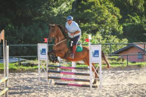 Campeonato Potro do Futuro do Cavalo Árabe inicia com boas disputas nas modalidades de Hipismo Rural e Salto