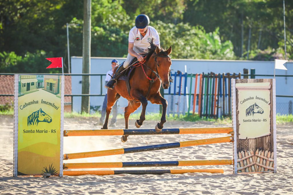 Potro do Futuro do Cavalo Árabe nas modalidades de Hipismo Rural e Salto