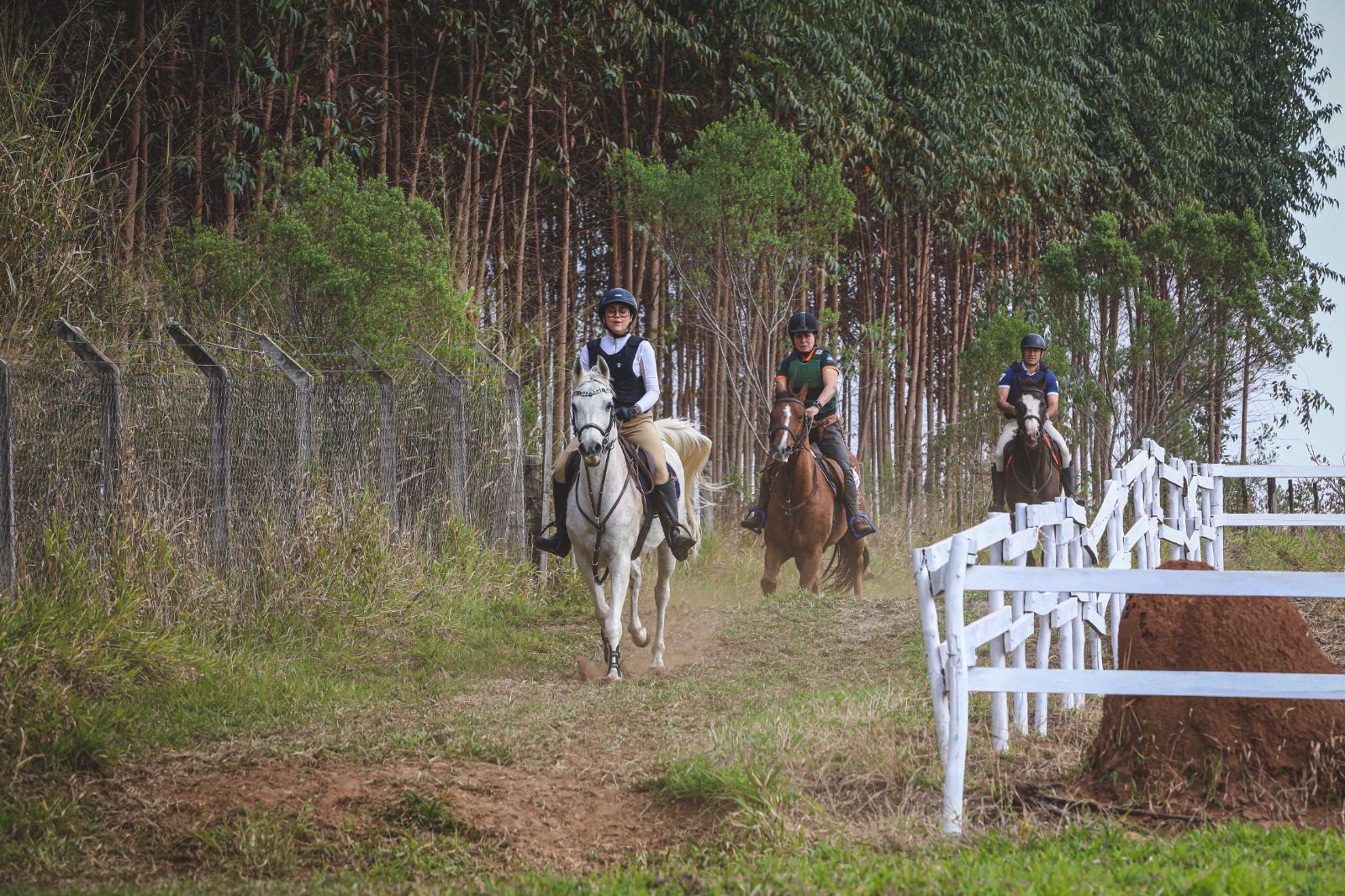 Clínica de Hipismo Rural Completo reúne cavaleiros da raça Árabe em Botucatu