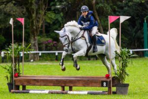 Raça Árabe obtém excelentes resultados no Concurso de Hipismo Completo Nacional