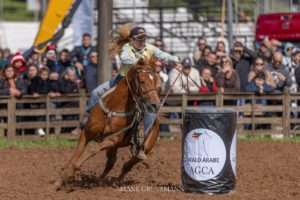 Cavalo Árabe na Expointer 2024 (2)