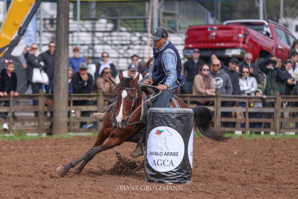 Cavalo Árabe na Expointer 2024 (3)
