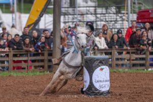 Cavalo Árabe na Expointer 2024 (7)