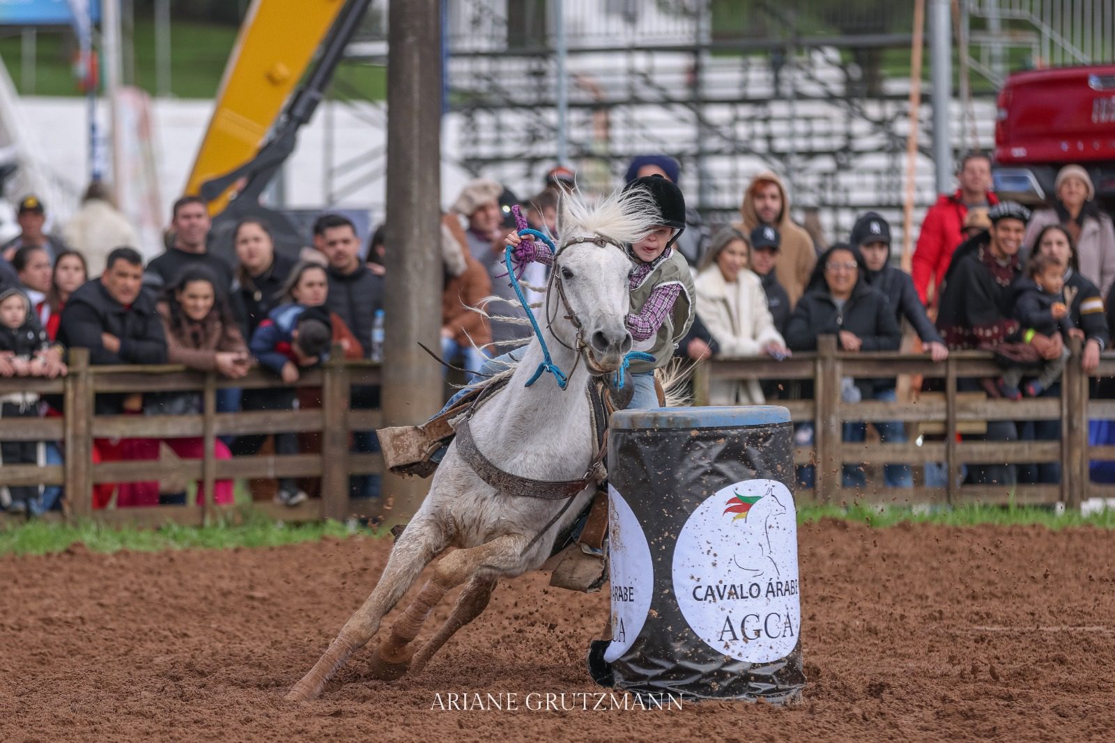 Cavalo Árabe na Expointer 2024 (7)