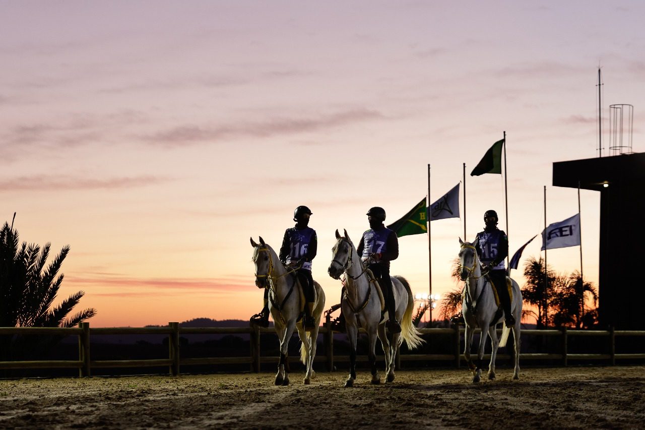 Abertas as inscrições para a Copa Nacional de Enduro do Cavalo Árabe em Campinas (SP)