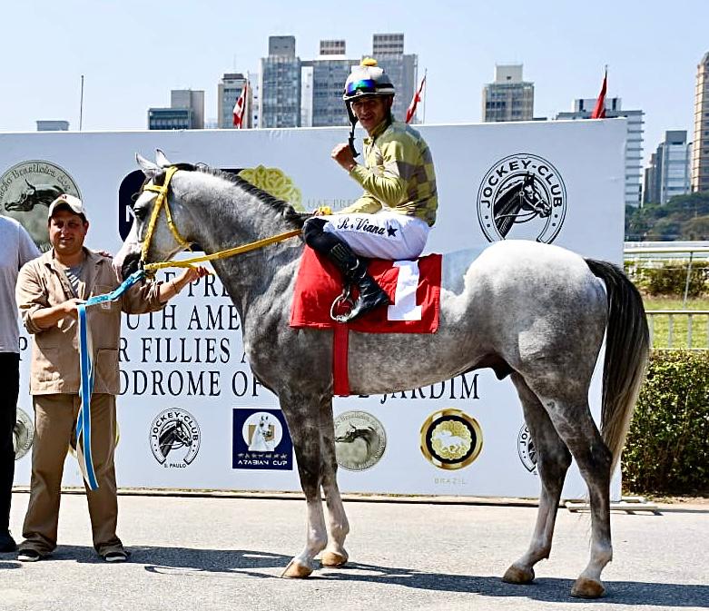 Ômega Rach vence o Prêmio UAE Presidents Cup no Jockey Club de São Paulo (1)