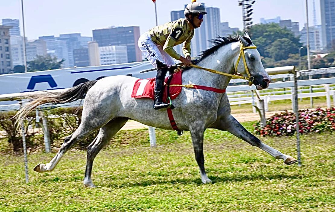 Ômega Rach vence o Prêmio UAE Presidents Cup no Jockey Club de São Paulo (2)