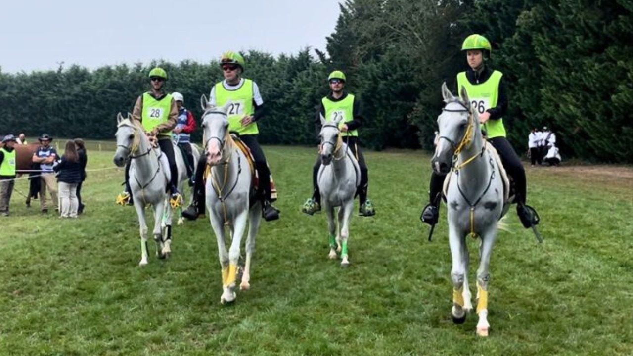 Time Brasil se prepara para Mundial de Enduro Equestre na França