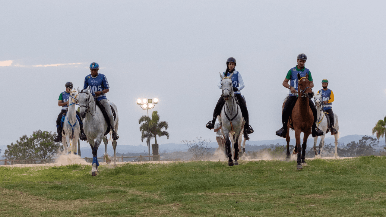 Copa Nacional de Enduro do Cavalo Árabe atrai atletas de vários países