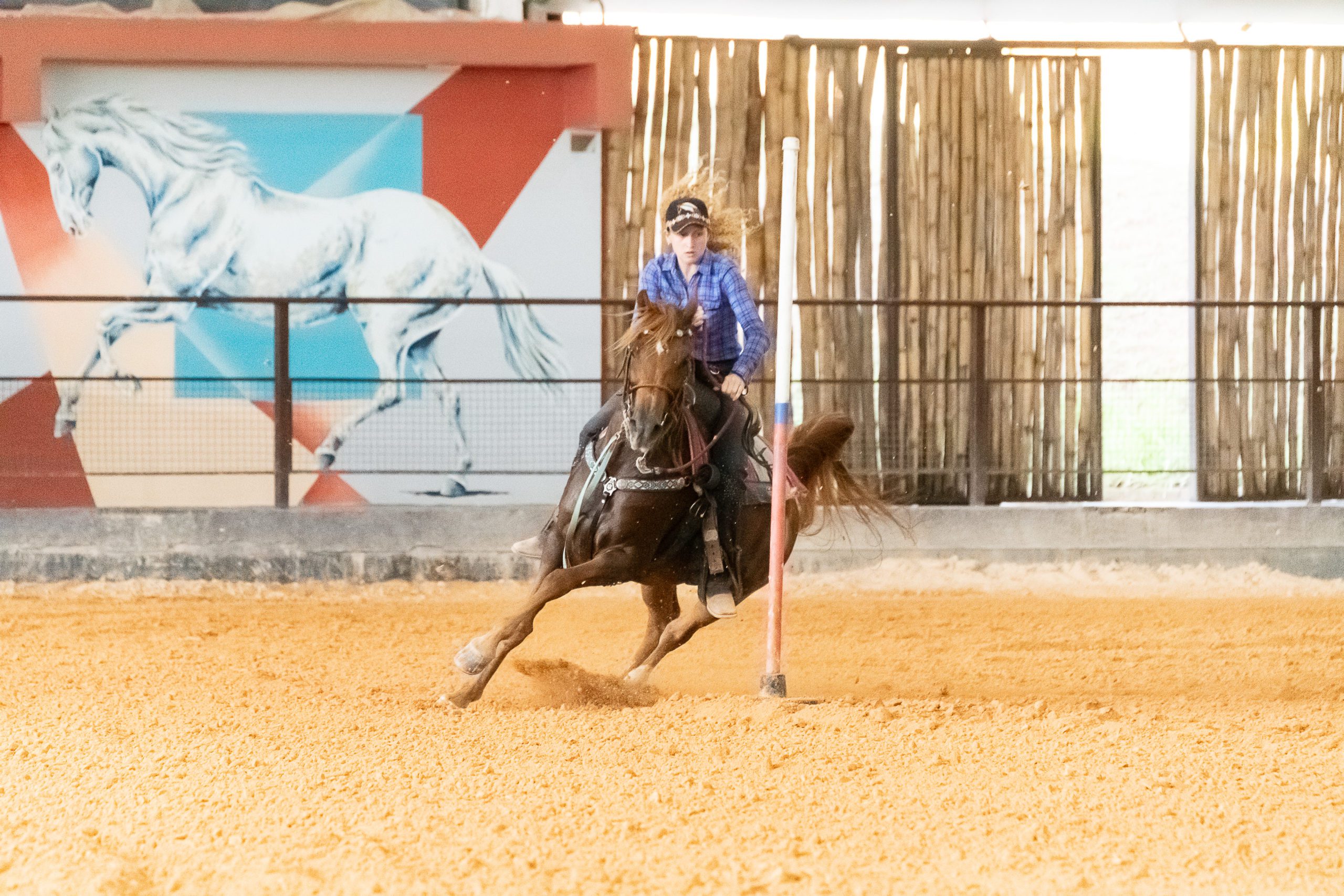 Exposição do Cavalo Árabe em Tatuí (SP) apresenta raça em 12 modalidades e reúne competidores de todo o país