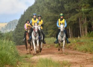 3ª etapa do Campeonato Paranaense de Enduro Equestre 1