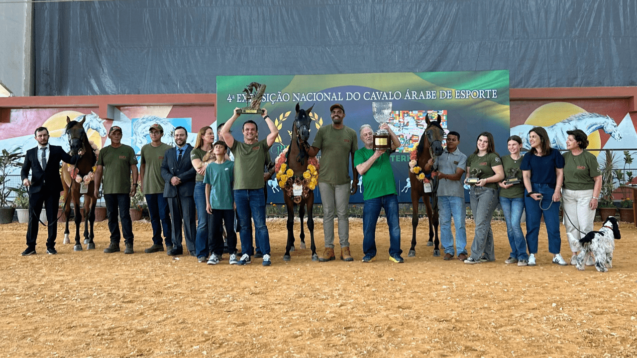 RFI Arabians conquista prêmio de Melhor Criador da Brazilian Breeders’ Cup pelo quarto ano consecutivo