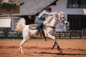 Cavalo Árabe reforça sua funcionalidade e protagonismo nas pistas da Expointer 2025