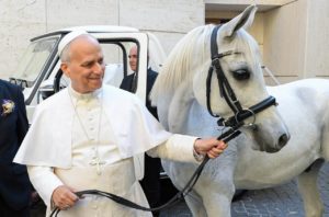Presente ao Papa destaca a relevância mundial do Cavalo Árabe, uma das raças mais antigas da história