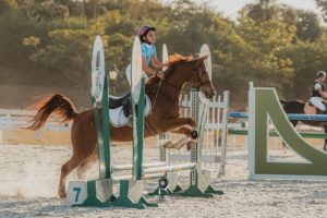 Tatuí (SP) sedia, em novembro, a principal exposição esportiva do cavalo Árabe no Brasil (4)