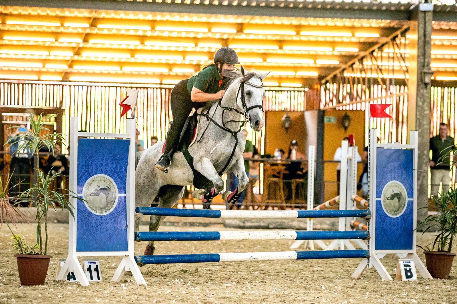 5ª Exposição Nacional do Cavalo Árabe de Esporte (4)