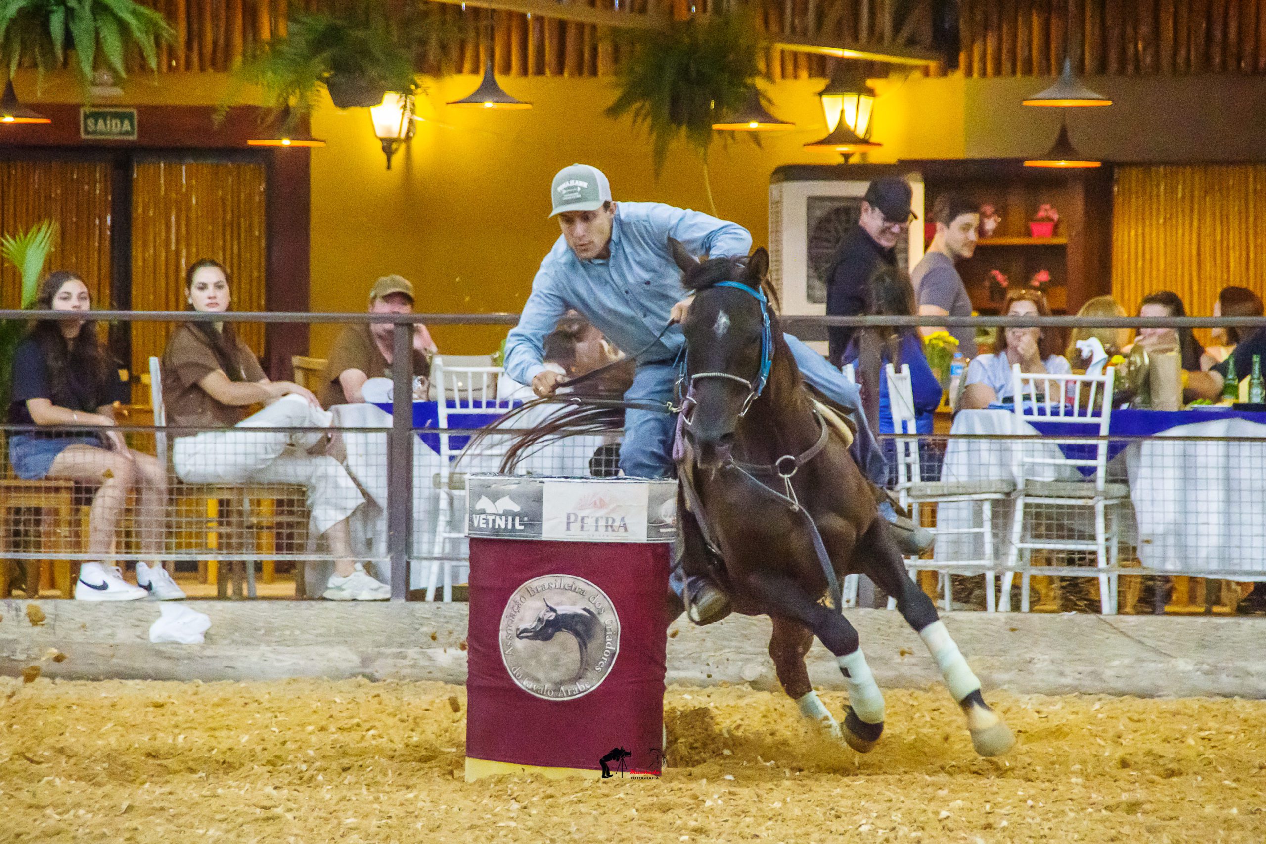 Evento no interior de SP bate recorde de inscrições e consolida a funcionalidade do Cavalo Árabe