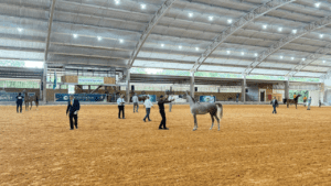 Temporada 2026 do Cavalo Árabe começa em março com exposição no interior de SP