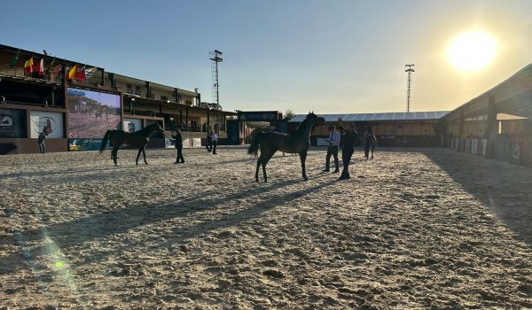 42ª Exposição nacional do Cavalo Árabe