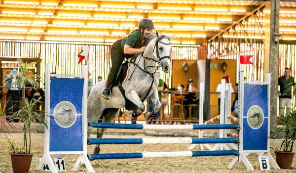 5ª Exposição Nacional do Cavalo Árabe de Esporte (4)