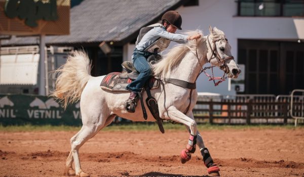 Cavalo Árabe reforça sua funcionalidade e protagonismo nas pistas da Expointer 2025