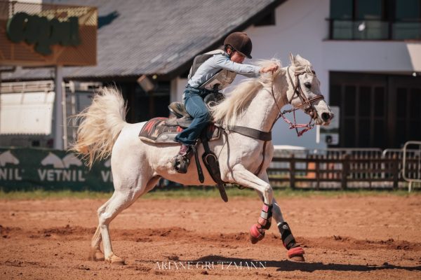 Cavalo Árabe reforça sua funcionalidade e protagonismo nas pistas da Expointer 2025