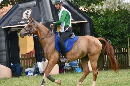 Cavalo Árabe conquista principal categoria do III Internacional Endurance Festival Of Campos Gerais 1 Cavalo Árabe conquista principal categoria do III Internacional Endurance Festival Of Campos Gerais