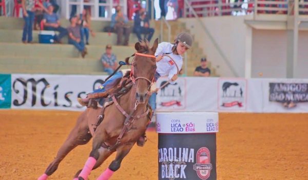 Copa ANCAF/ABCCA abre oficialmente o calendário esportivo do Cavalo Árabe em 2026