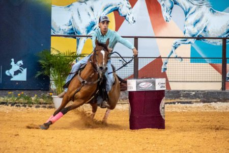 Cavalo Árabe exibe sua versatilidade e bate recordes na 4ª Exposição Nacional de Esporte (2)