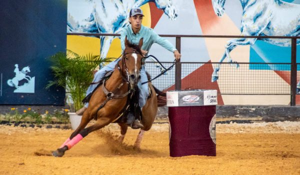 Cavalo Árabe exibe sua versatilidade e bate recordes na 4ª Exposição Nacional de Esporte (2)