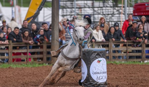 Cavalo Árabe na Expointer 2024 (7)