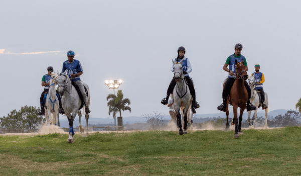 Copa Nacional de Enduro do Cavalo Árabe atrai atletas de vários países