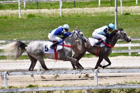 Corrida-Arabe-foto-Ricardo-Saliba