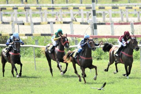 Corrida-pista-de-grama-femeas Corrida-pista-de-grama-femeas