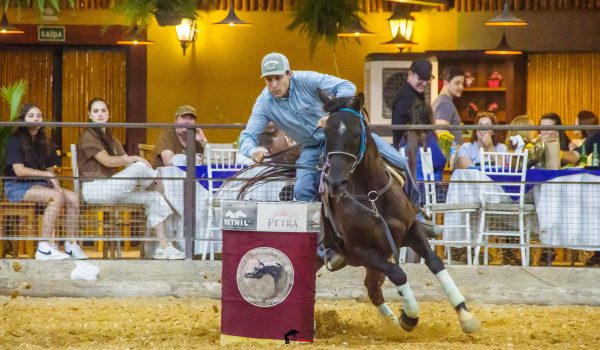 Evento no interior de SP bate recorde de inscrições e consolida a funcionalidade do Cavalo Árabe