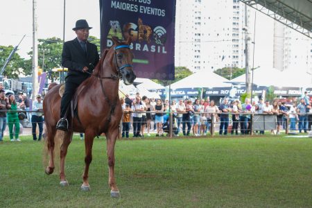 Expoingá 2025 com o Cavalo Árabe (2) Expoingá 2025 com o Cavalo Árabe (2)