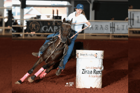Haras Estância California direciona sua criação para o Cavalo Árabe de Esporte pensando no futuro da raça1 Maio movimentado: Cavalo Árabe é destaque em provas e eventos por todo o Brasil